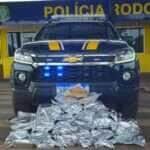 PRF prende quatro mulheres com mais de 40 kg de maconha em ônibus na BR-070, em Poconé 