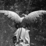 Anjo da Guarda