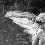 Anjo da guarda
