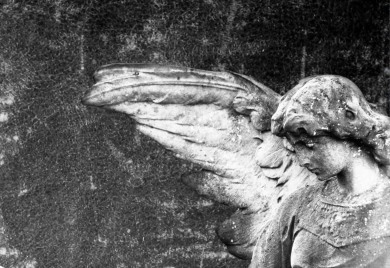Anjo da guarda