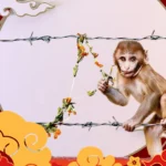 MAcaco Horóscopo Chinês