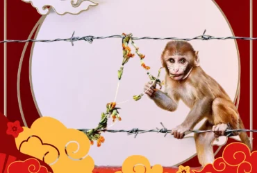 MAcaco Horóscopo Chinês