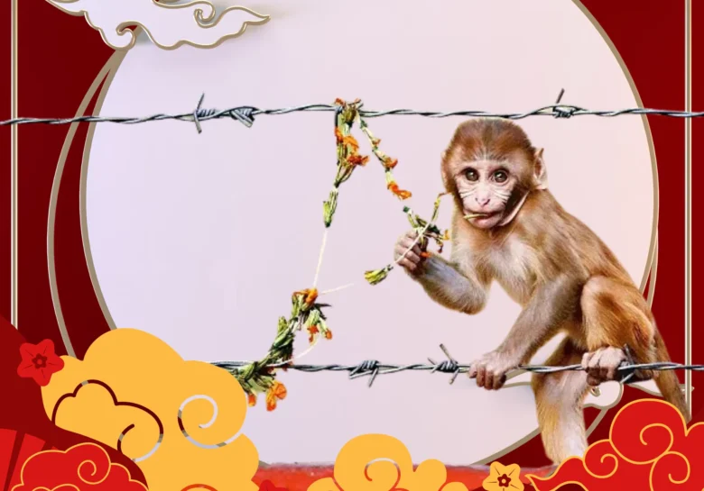 MAcaco Horóscopo Chinês