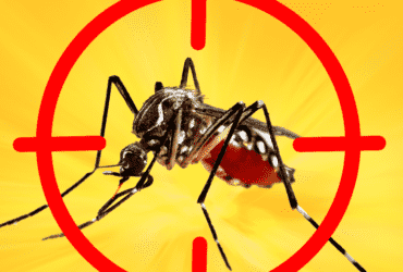 Mato Grosso enfrenta aumento alarmante de dengue e chikungunya em 2024