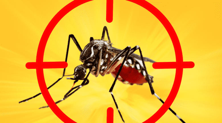 Mato Grosso enfrenta aumento alarmante de dengue e chikungunya em 2024
