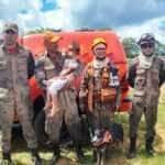 Menino de 4 anos que estava perdido em mata é resgatado pelos bombeiros em Mato Grosso