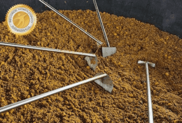 Município de Mato Grosso prepara a maior panela de arroz carreteiro de pequi do mundo