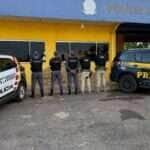 Polícia Militar e PRF apreendem 185 tabletes de maconha em caminhão em Mato Grosso