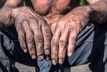 Trabalhadores são resgatados de condições análogas à escravidão em fazenda de Mato Grosso