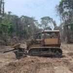 Operação da Sema em Alta Floresta, resulta em apreensões.