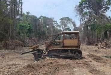 Operação da Sema em Alta Floresta, resulta em apreensões.