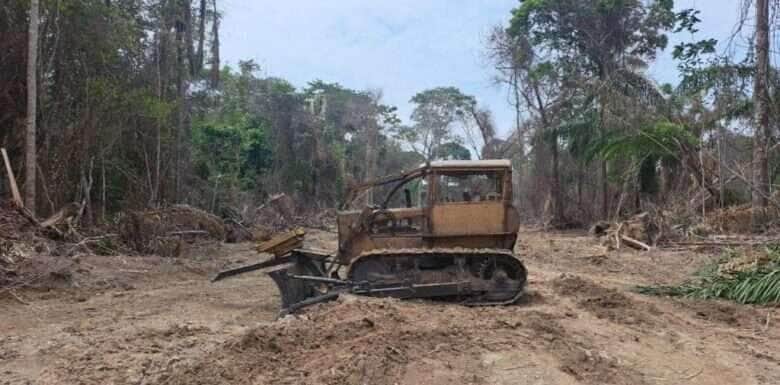 Operação da Sema em Alta Floresta, resulta em apreensões.