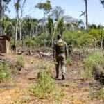 Sema deflagra 298 operações em Mato Grosso e aplica R$ 1,6 bilhão contra crimes ambientais em 2024