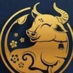 Signo do Boi horoscopo Chinês
