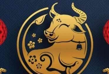 Signo do Boi horoscopo Chinês