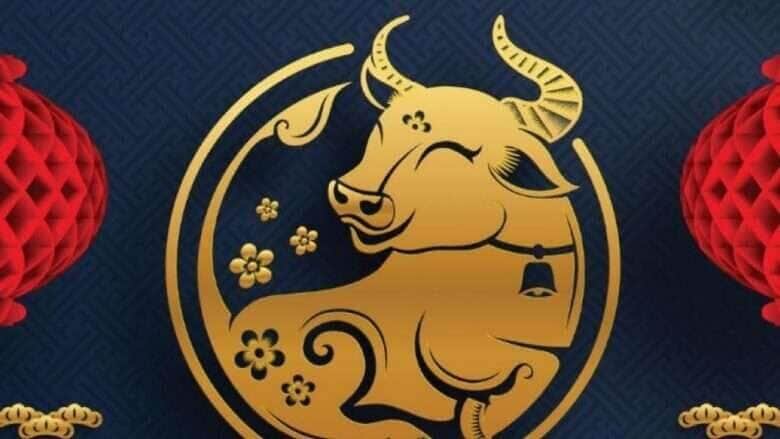 Signo do Boi horoscopo Chinês