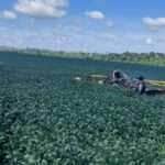 Piloto morre em acidente com avião agrícola em Nova Monte Verde (MT)
