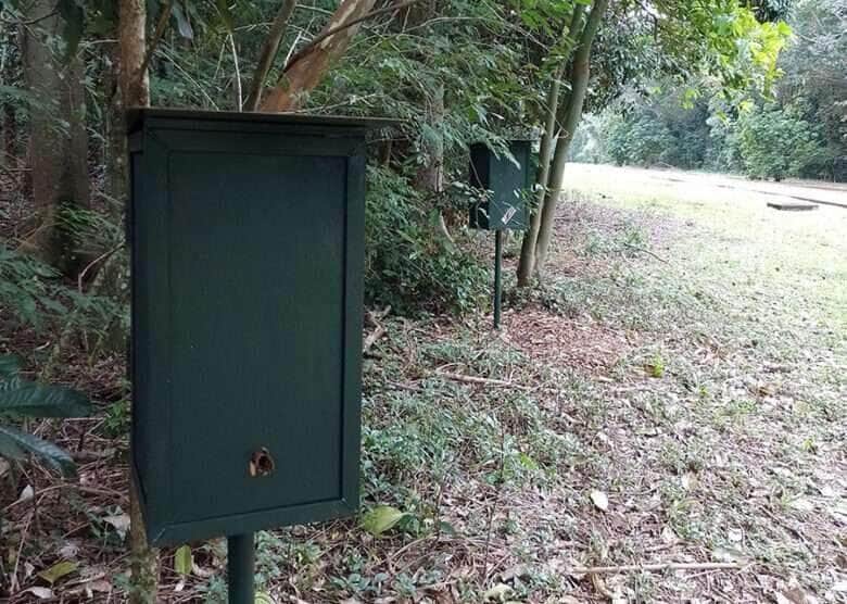 abelhas sem ferrao pr