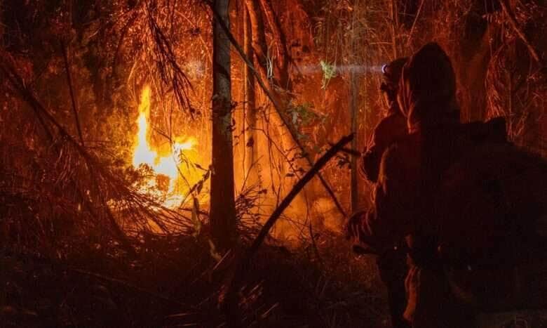 Amazônia-11/12/2024 Amazônia tem o maior número de queimadas e incêndios em 17 anos. Foto:  Agência Santarém.
