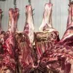 Carne fresca,Açougues, Frigoríficos, alimento