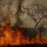 Desastres climáticos