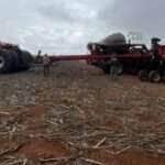 Desmatamento ilegal no Cerrado gera R$ 206 milhões em multas -
