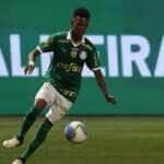Estêvão _ palmeiras