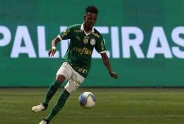 Estêvão _ palmeiras