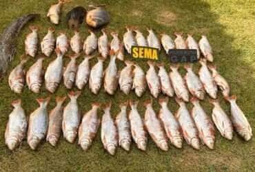Sema-MT
