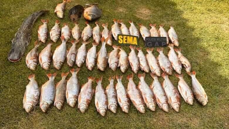 Sema-MT