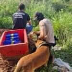 Polícia Civil-MT