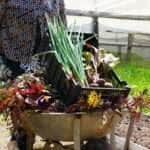 Assessoria/Semana de Agroecologia