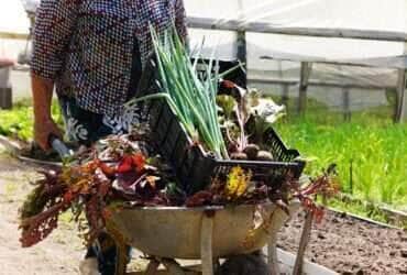 Assessoria/Semana de Agroecologia