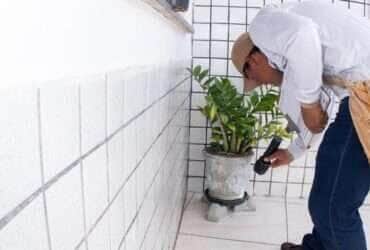 Mobilização nacional contra a dengue acontece em todo o País neste sábado (14) - Divulgação/MS