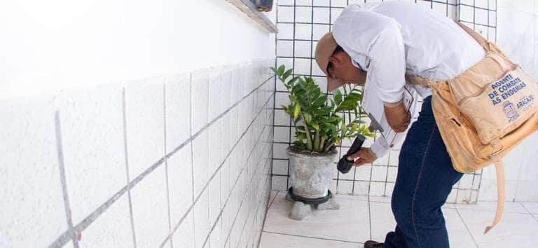 Mobilização nacional contra a dengue acontece em todo o País neste sábado (14) - Divulgação/MS