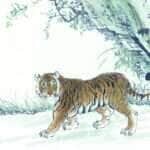 tigre