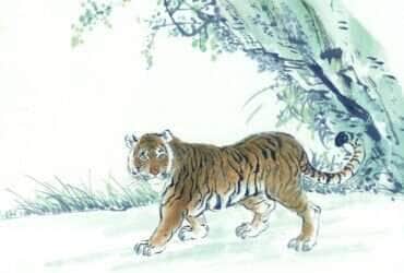 tigre