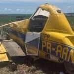 Piloto de avião agrícola morre após queda em fazenda em Mato Grosso