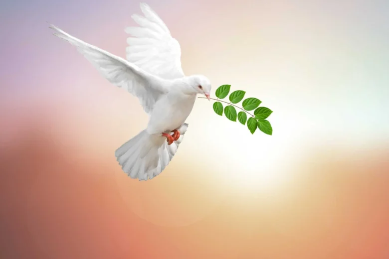 Anjo