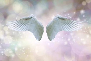Anjo da guarda