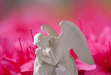 Anjo da guarda e a mensagem do dia