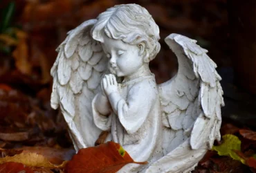 Anjo da guarda mensagem para hoje