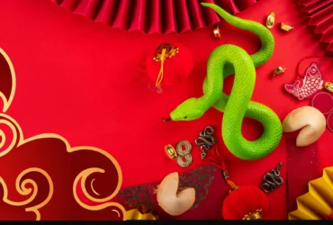 Ano Chinês