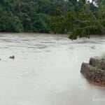 Corpo de criança de 10 anos é encontrado após afogamento dentro de rio em Mato Grosso