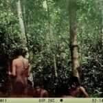 Imagens inéditas revelam a presença de povos indígenas isolados em Rondônia e Mato Grosso