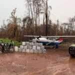 Mato Grosso intensifica combate ao tráfico e registra aumento de 57% nas apreensões de drogas em 2024