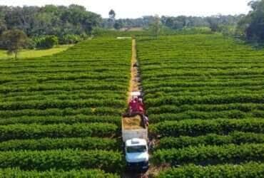 Mato Grosso tem linha de crédito para financiar equipamentos, máquinas e implementos agrícolas