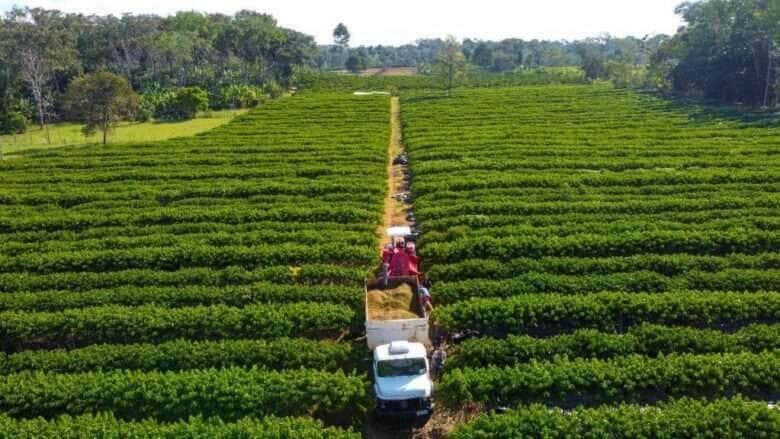 Mato Grosso tem linha de crédito para financiar equipamentos, máquinas e implementos agrícolas