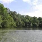 Nível do Rio Verde em Lucas do Rio Verde é monitorado após atingir 7,92 metros de profundidade