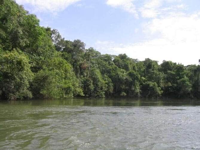 Nível do Rio Verde em Lucas do Rio Verde é monitorado após atingir 7,92 metros de profundidade